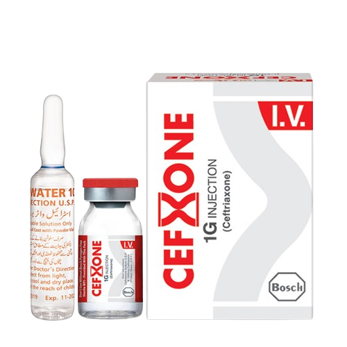 Cefxone 1g I.v Injection – Tablet Pharmacy