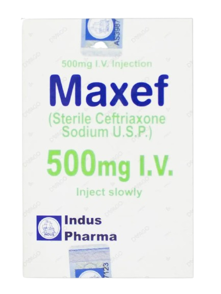Maxef 500mg I.m Injection – Tablet Pharmacy